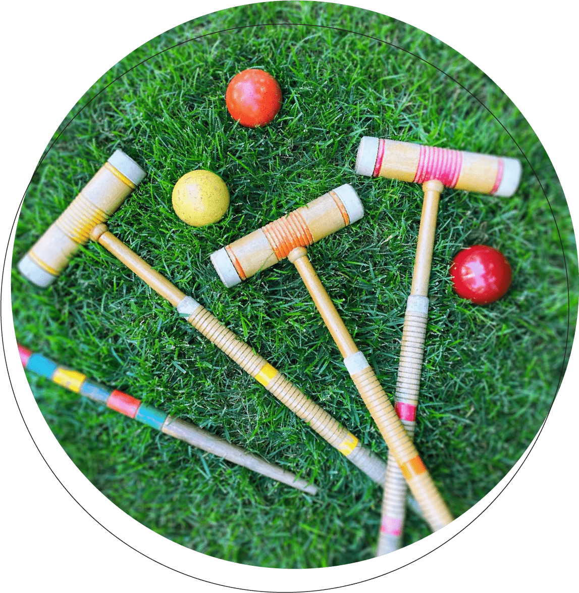 Cricket, Badminton, Table Tennis, Frisbee
