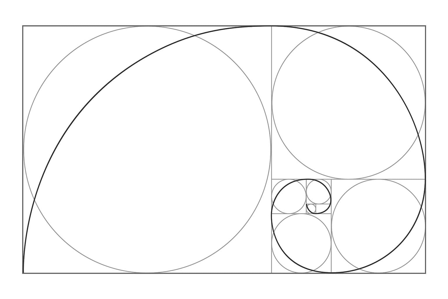 Nature's Secret Geometry Translates Into Good Architecture
